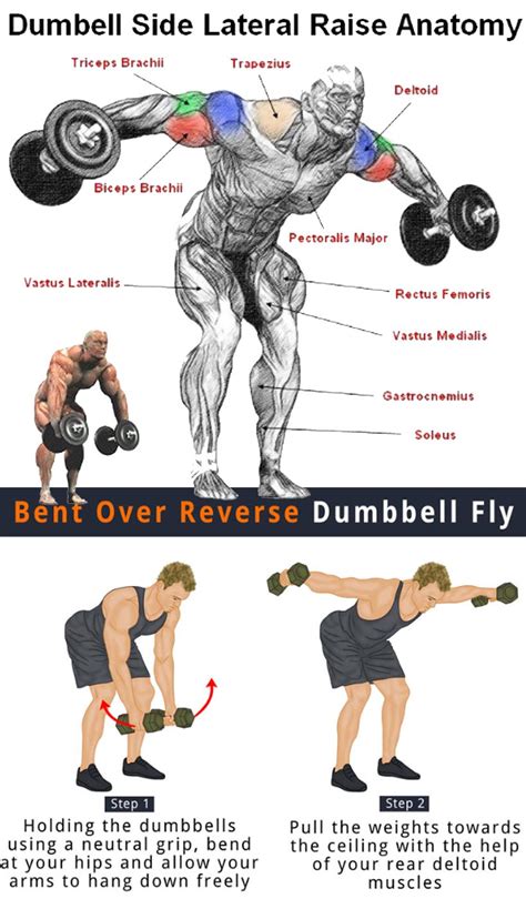 How to Reverse Fly | Guide