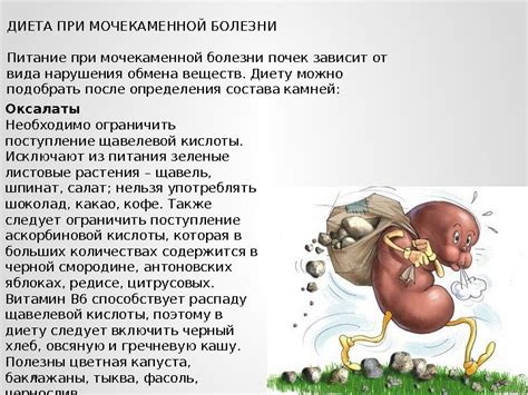 Лечебное питание при заболеваниях почек и мочевых путей
