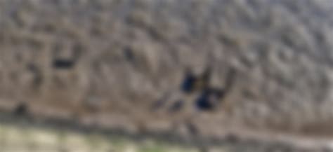 Left in the mud by the low tide : chairsunderwater