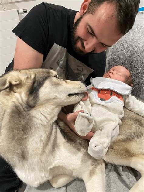 Je Nourris Mon Chien Naturellement Comment Pra C 2