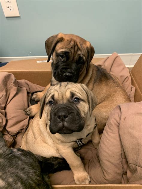 Is there anything better than... - easyvetclinic Murfreesboro