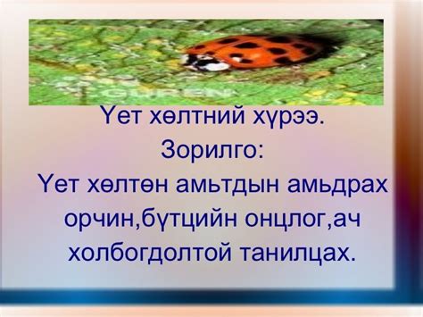 үет хөлтний хүрээ