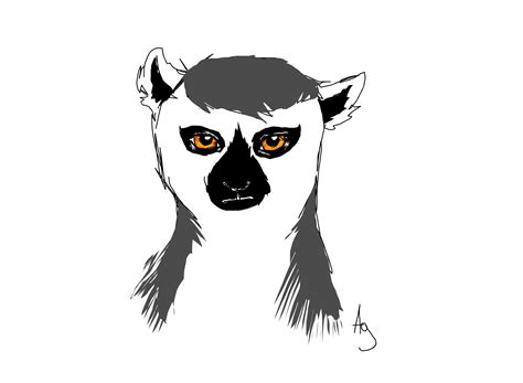 Leo » drawings » SketchPort