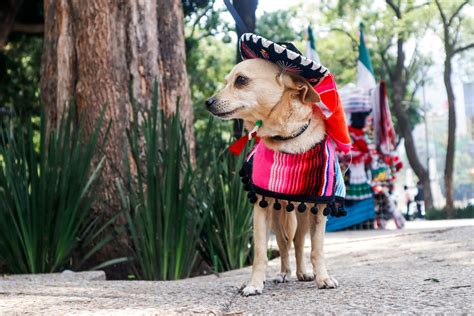 tiny titties photos 3