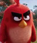 Angry Birds Franchise - Behind The Voice Actors