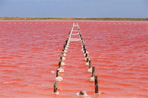 Колумбия: Розовото море