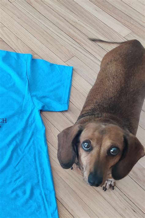 Could anyone please remove the t-shirt and just make the wood floor ...