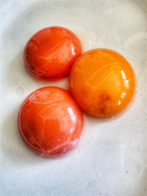 chef gruel ii bookworm room