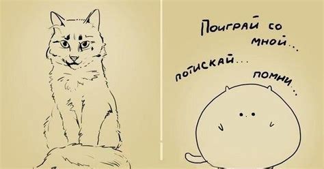 Скачать прикольные и красивые картинки: Прикольная картинка про кота на ...