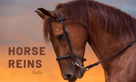 What are the Different Types of Horse Reins For Sale? | Horse Saddle Shop