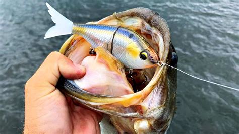 You’ll NEVER Fish a Swimbait the same way after Watching THIS… – Bass ...