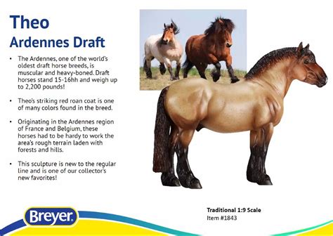 backordered 2020 BREYER THEO TRADITONAL