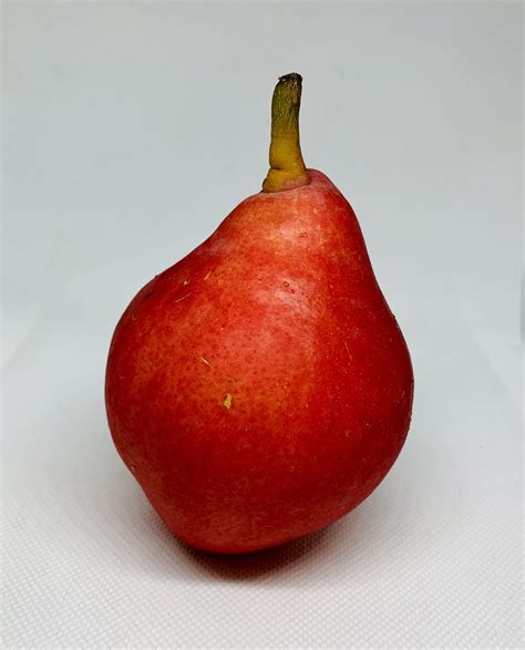 Red Anjou Pear, Ea - Giordano Garden Groceries