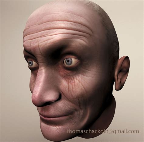 Mesh World: Head Modeling