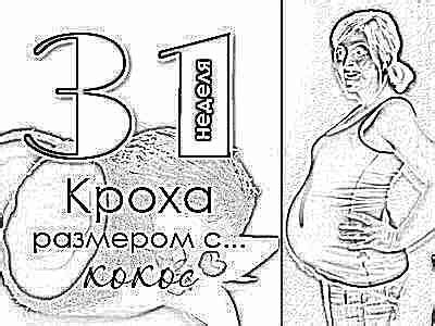 31 неделя беременности (47 фото): что происходит с малышом и мамой ...