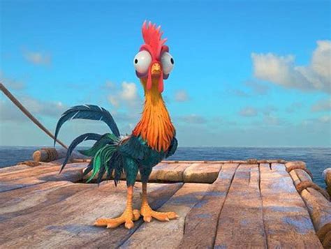 Foto Do Galo Da Moana
