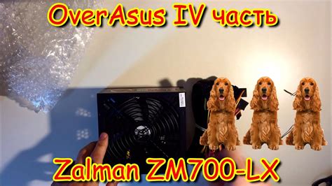 OverAsus: Zalman ZM700-LX | Лучший Блок питания для ПК - YouTube