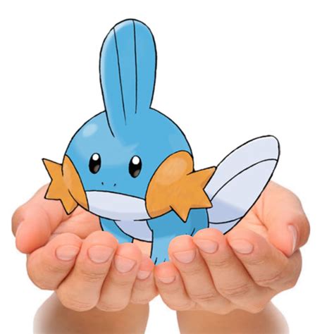 day       mudkip builrosie