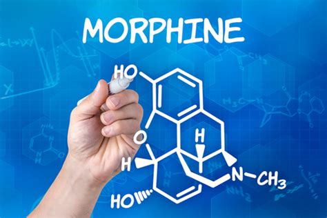 Morphine side effects - Khaleej Mag