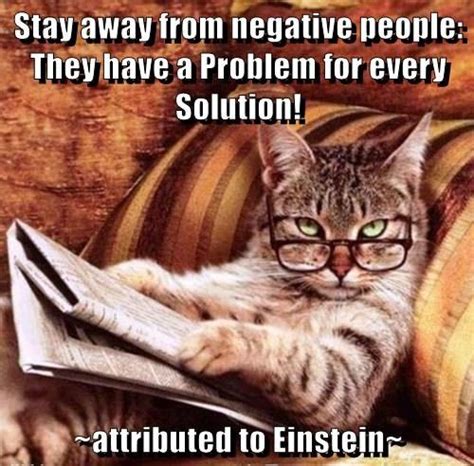 Negative people | Negative people, Funny cat memes, Negativity