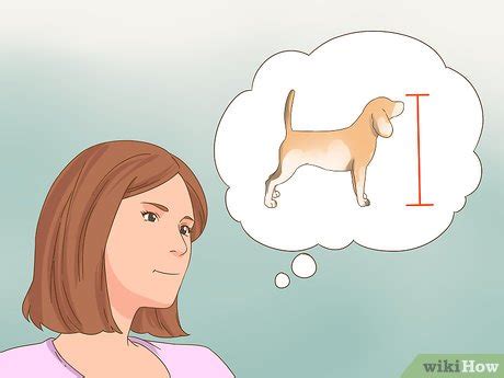 how to choose the right dog breed