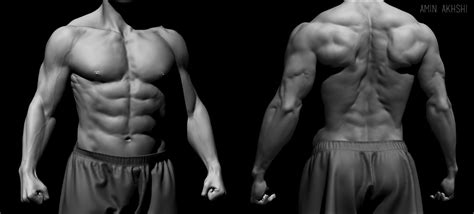 Male Torso, Amin Akhshi | 3d персонаж, Анатомия, Фотографии