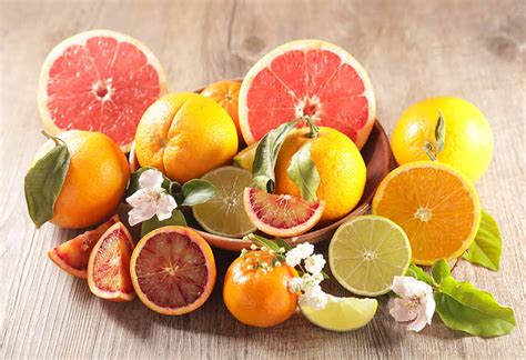 list  citrus fruits names  teach preschoolers kids