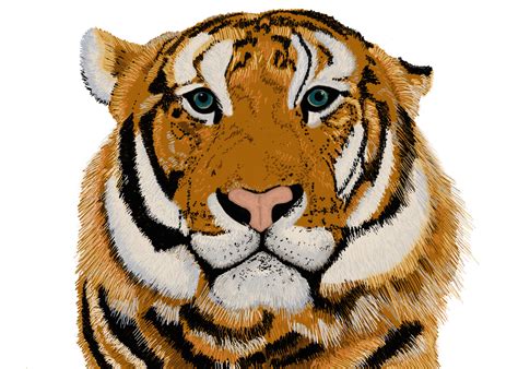 Digital Illustrations — Michelle M. LaMorte