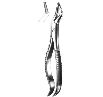 Dental Forceps at Best Price in Sialkot, Punjab | KHOKHAR INTERNATIONAL