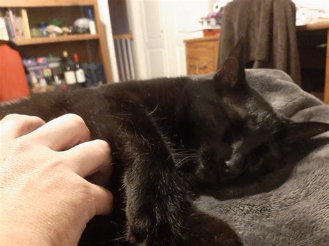 Jessa Flux™ on Twitter: "@fishboyone https://t.co/pOurRoL2MP" / Twitter