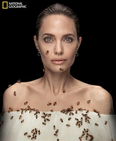 Ertan Özyiğit on Twitter: "Angelina Jolie, 2025 yılına kadar 2.500 arı ...