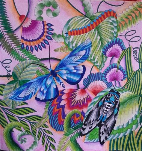 Раскраски Милли Маротта | ВКонтакте | Millie marotta coloring book ...