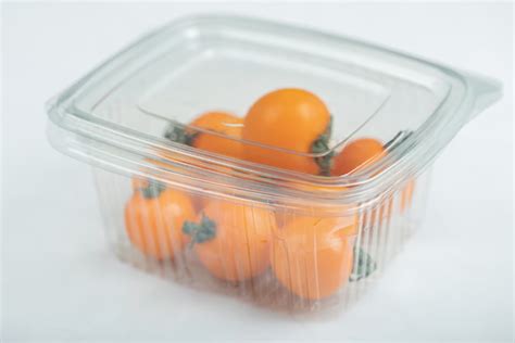 Преимущества пластиковых контейнеров для продуктов - Vedicfood.ru