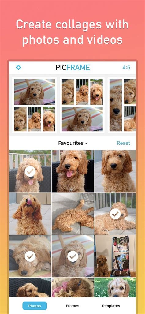 picframe collage app   ios android  macos