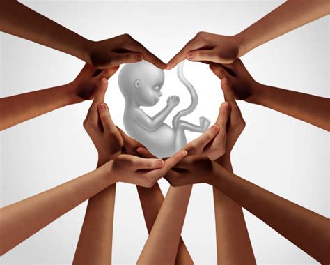 Best Pro Life Stock Photos, Pictures & Royalty-Free Images - iStock