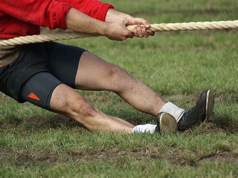 sections  isildur bio pulled  privacy inaccuracy concerns