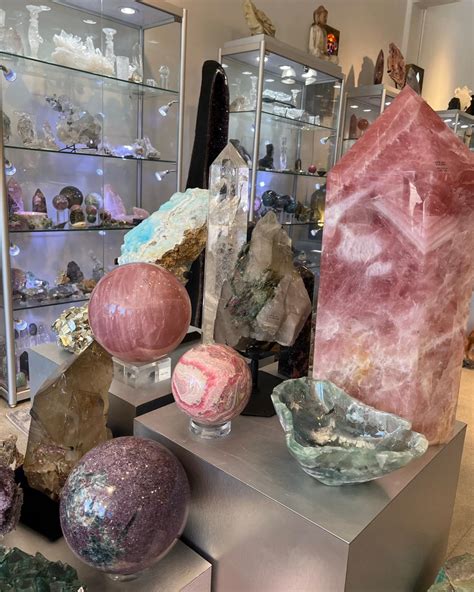 ʕ•ᴥ•ʔ | ʕ •ᴥ•ʔゝ☆ | Instagram