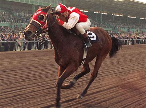 The Films Which Tell the Tales of Famous Race Horses - Horse Racing Reports and News - Turfnsport