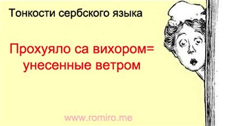 Приколы сербского языка