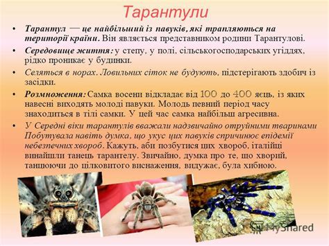 Презентация на тему: "Різноманітність павукоподібних Тарантул, павук ...