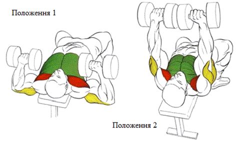 BODYBUILDING AND FITNESS: Жим гантелей лежачи