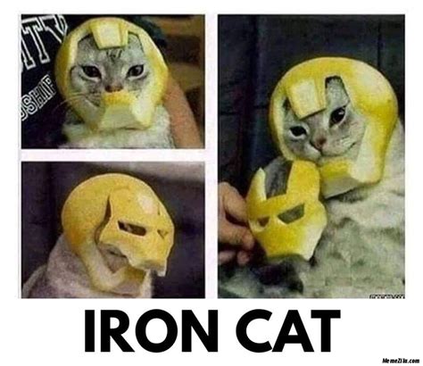 when your cat got a superpower [cat meme] : r/Catmemes