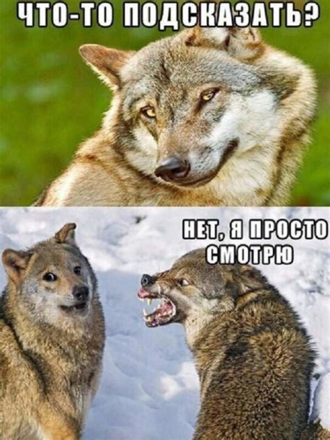 Смешные картинки с подписями от Apriori за 02.08.2018 на Fishki.net