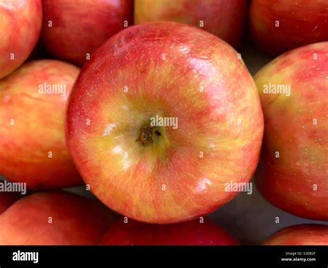 red apple close   res stock photography  images alamy
