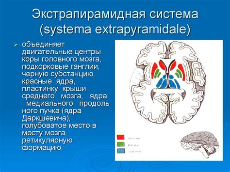 Экстрапирамидная система и симптомы ее поражения. (Лекции 3 ...