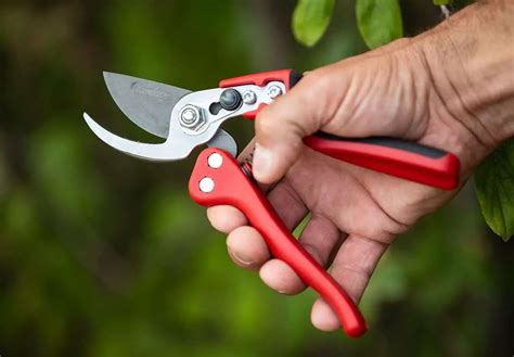 pruning shears   gardening  answered