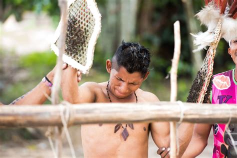 O Que É Tucandeira - Ritual da Tucandeira: grupo indígena se prepara para reaver terras ...