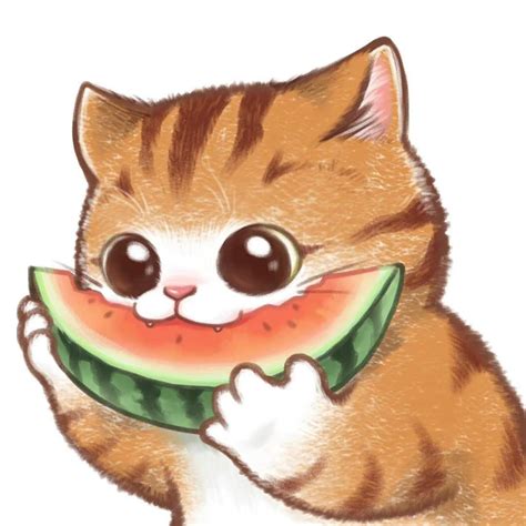 Cute Cat Eating Watermelon Slice