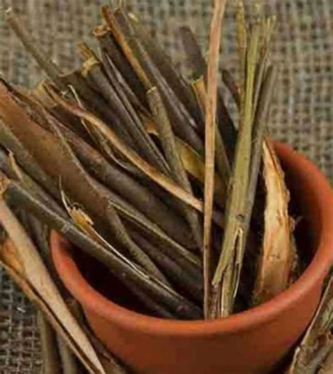 willow bark extract benefits  skin  ways  boost radiance