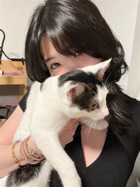 Lost my cat for a week, found her clawing at my window trying to get in